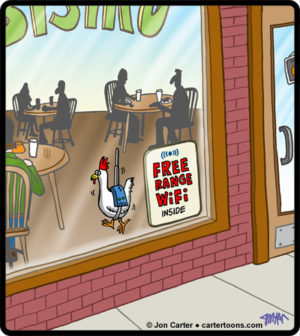 Free Range WiFi
