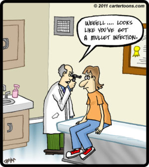 Mullet Infection