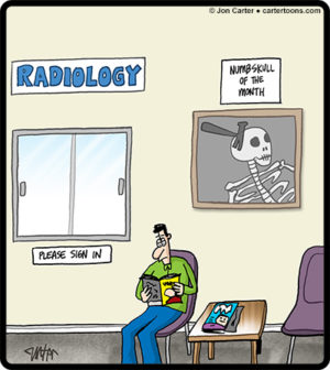 Numbskull Award
