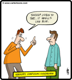 Sensory Confusion Syndrome