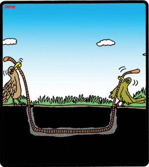 Two Bird Tug