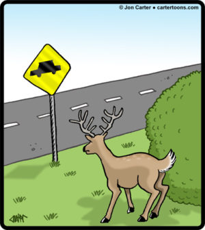 Car Crossing