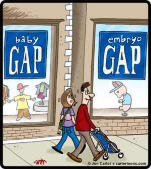 Embryo Gap