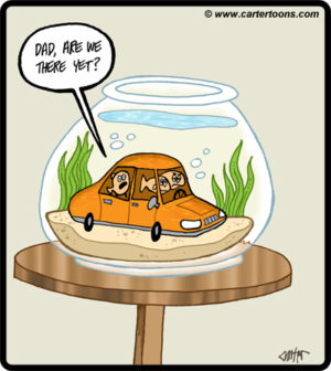 Fish Family Trip