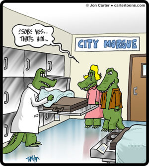 Gator Morgue
