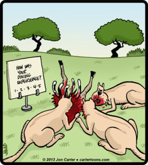 Kill Feedback Card