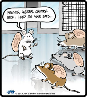Mouse Speech