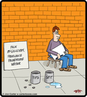 Palindrome Writer