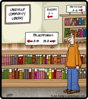 Palindrome Library Books