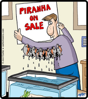 Piranha Sale