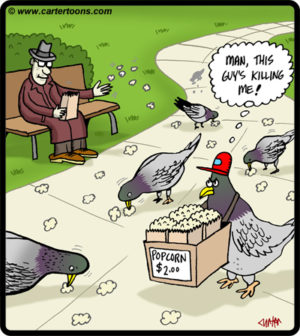 Popcorn Pigeon