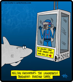 Reading Shark