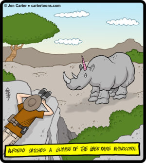 Rhinocorn
