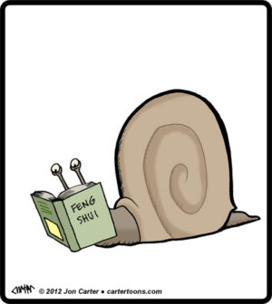 Snail Fung Shui