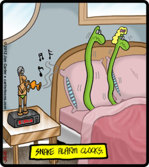 Snake Alarm Clocks