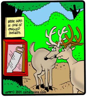 Tangled Antler Box