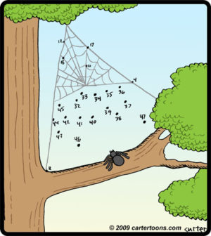 Dot-To-Dot Spiderweb