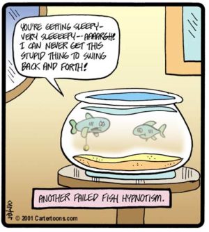 Fish Hypnotism