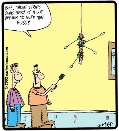 Fly Swat Strip