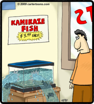 Kamikaze Fish