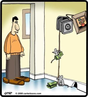 Mouse Thieves