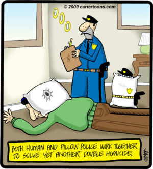 Pillow Police