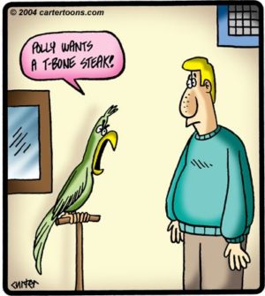 T-Bone Parrot