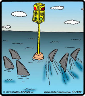 Shark Stoplite