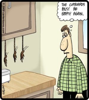 Suicide Cockroaches
