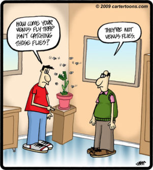 Venus Fly Trap