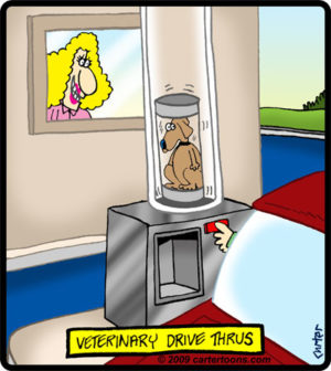 Veterinary Drive Thru