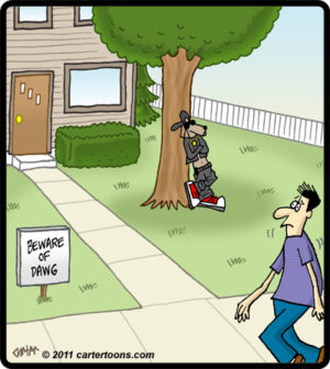 Beware Of Dawg