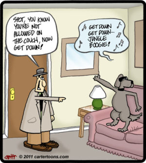 Boogie Dog
