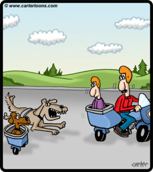 Dog Motorcycle