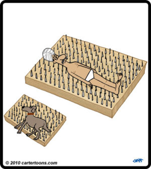 Dog Nail Bed