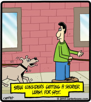 Long Leash