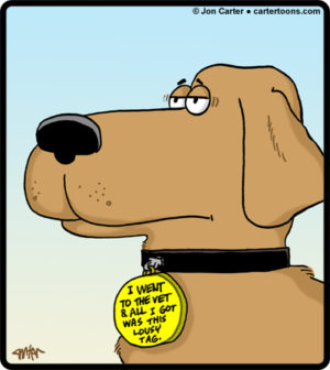 Lousy Dog Tag
