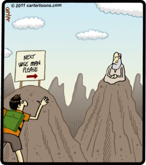 Next Wise Man