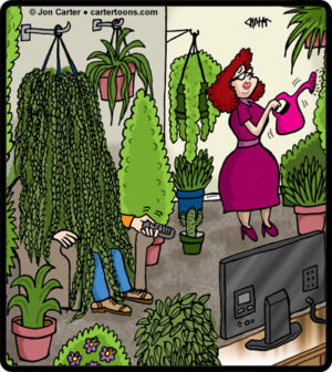 Plant Hubby