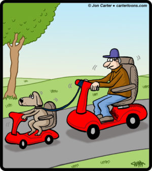 Dog Scooter