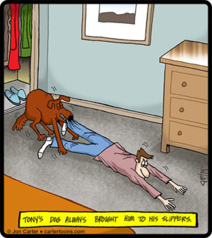 Slipper Drag
