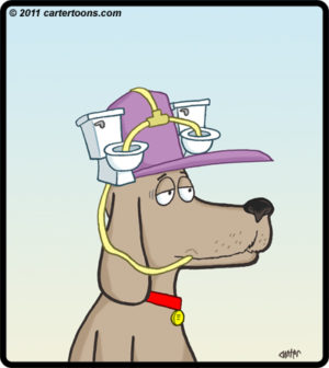 Toilet Hat