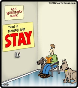 Vet Waiting Room