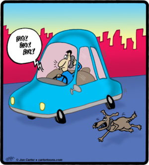 Cell Phone Dog
