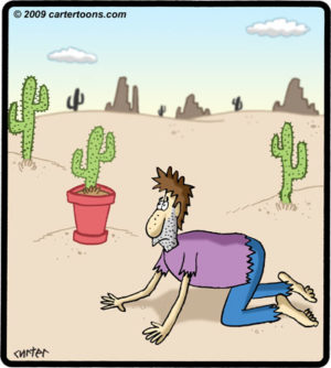 Desert Potted Cactus