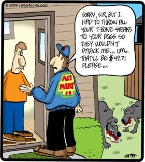 Dog Steaks