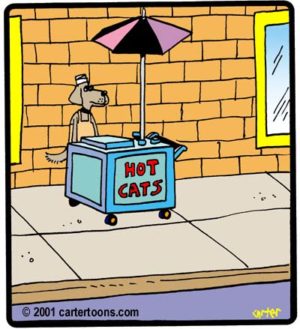 Hot Cats