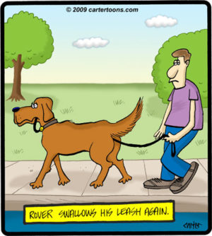 Swallowed Leash
