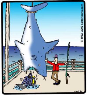 Shark Surprise