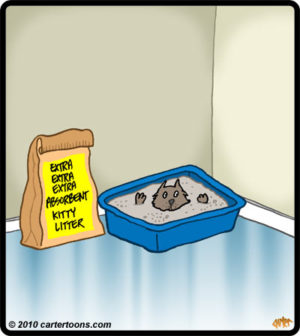 3X Absorbent Kitty Litter